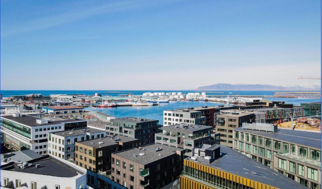 Cozy Lux 2Br & 2Ba City Center With Free Parking レイキャヴィーク エクステリア 写真